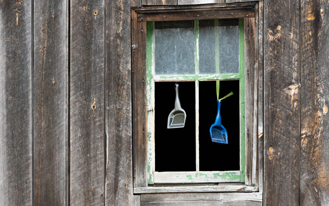 Social Distancing, Day 32: Maine Wind Chimes